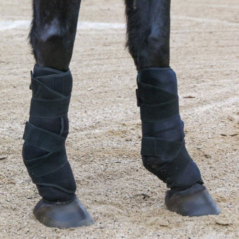 Arena Ice therapy boots - HorseMed SA